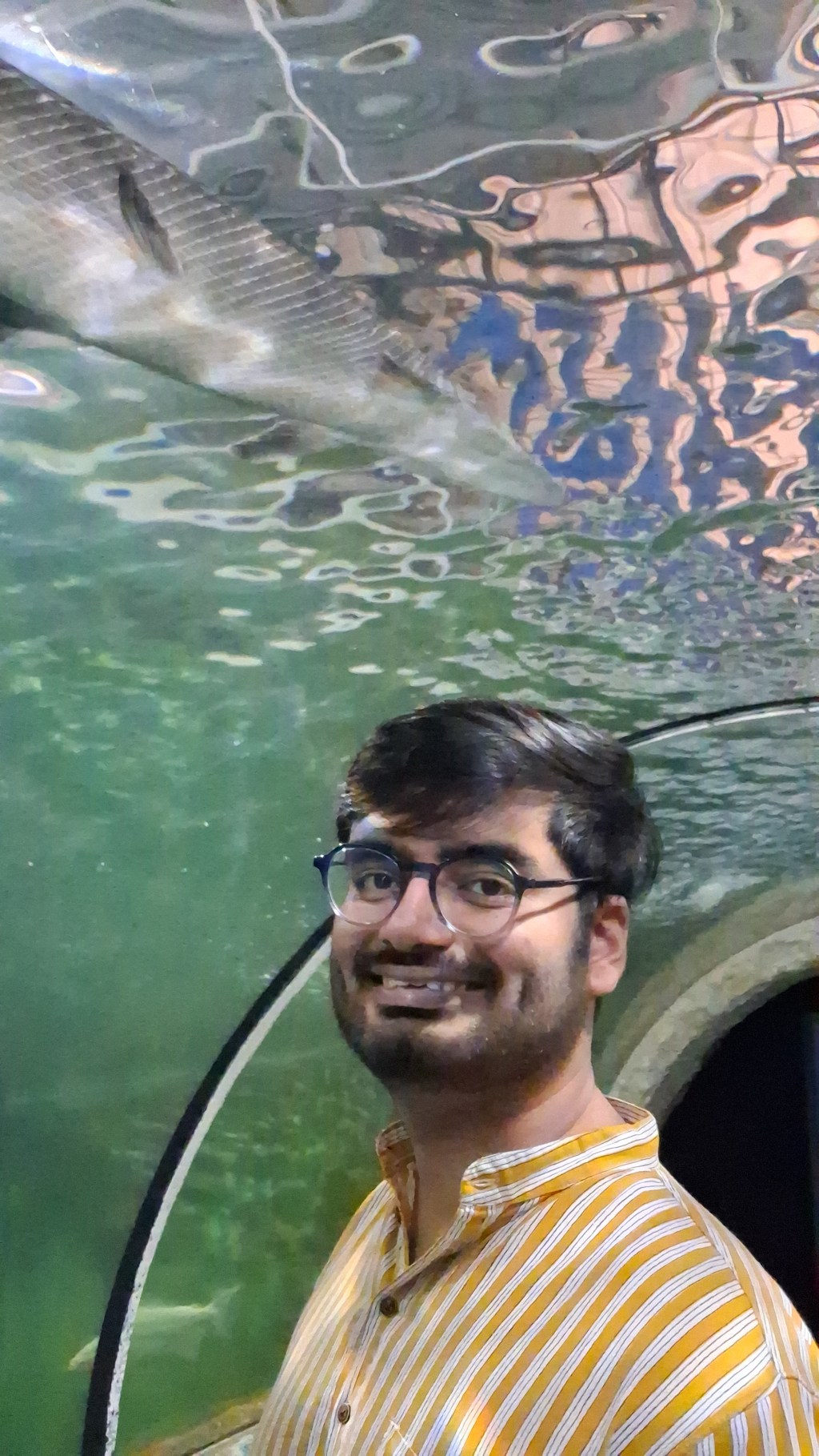 What you think vs what it is really